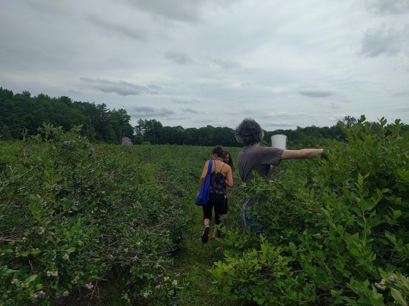 Beyond Fresh Berries, the Farm Has More to Offer Beyond Fresh Berries, the Farm Has More to Offer