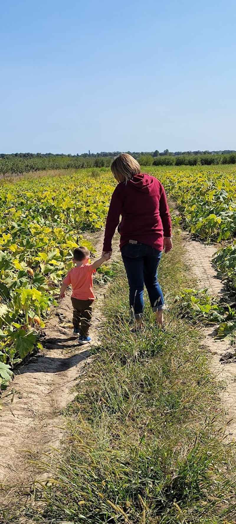 Beyond Strawberries: A Full Season of Produce