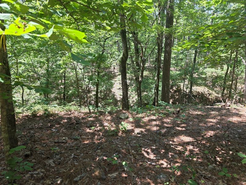 Big Brother Loop, Welling Ridge Trails, Oklahoma