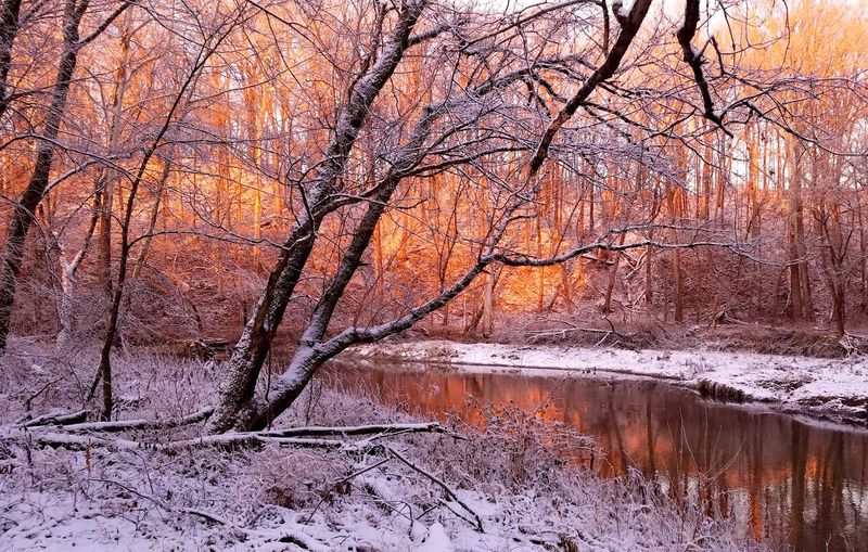 Big Walnut Creek Runs Right Through the Heart of the Park