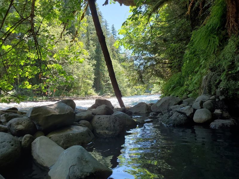 Bigelow Hot Springs (Deer Creek), Oregon