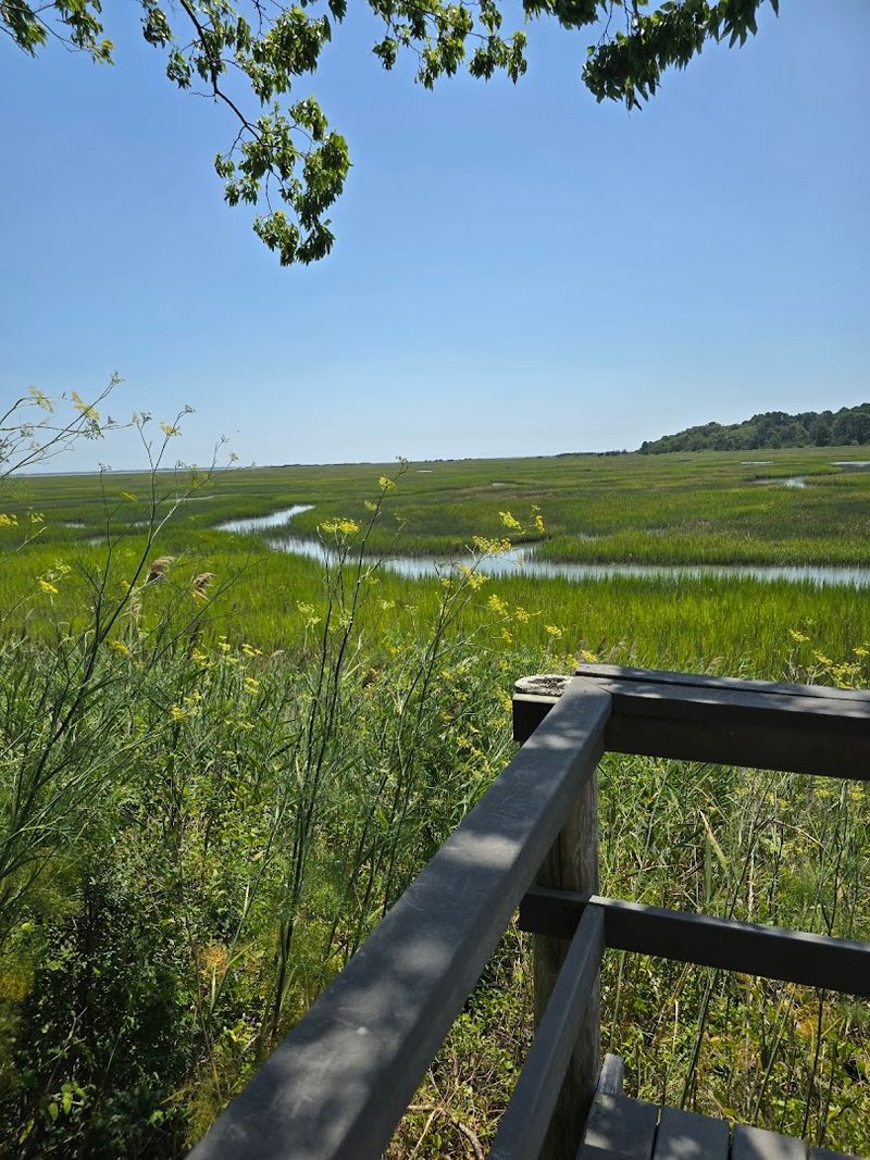 Bird Watching That Borders on the Spectacular