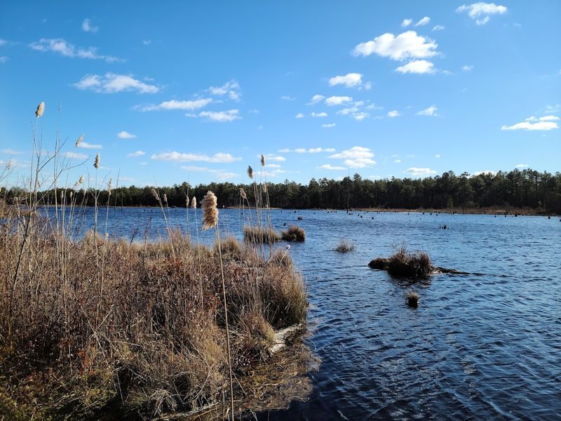 Birding at an Audubon-Recognized Important Bird Area