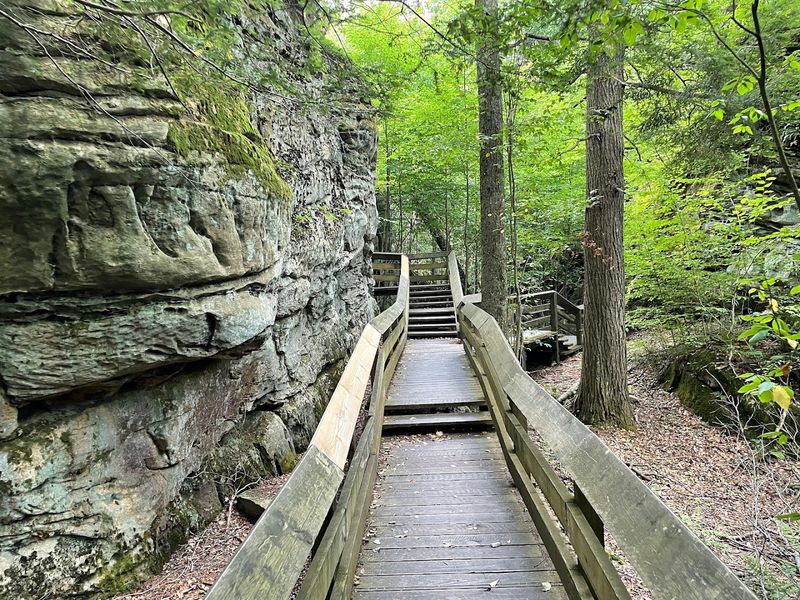 Birdsong, Cool Air, and the Sounds of a Place Untouched by Rush