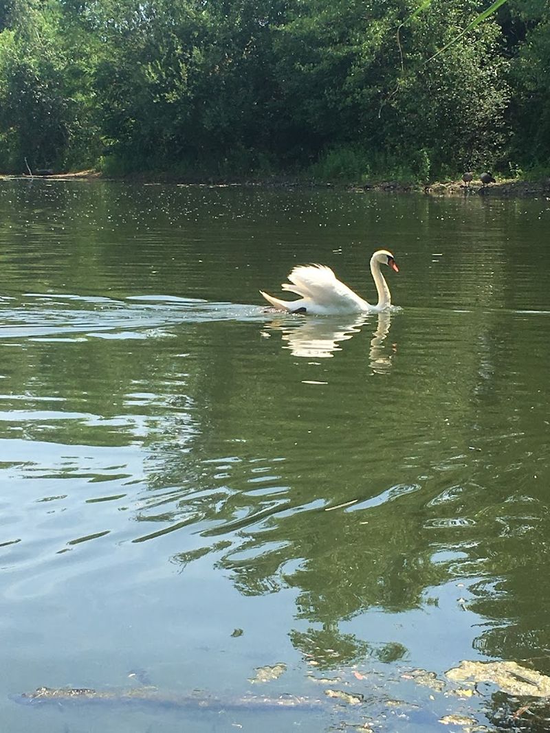 Birdwatching That Will Make You Cancel Your Other Plans