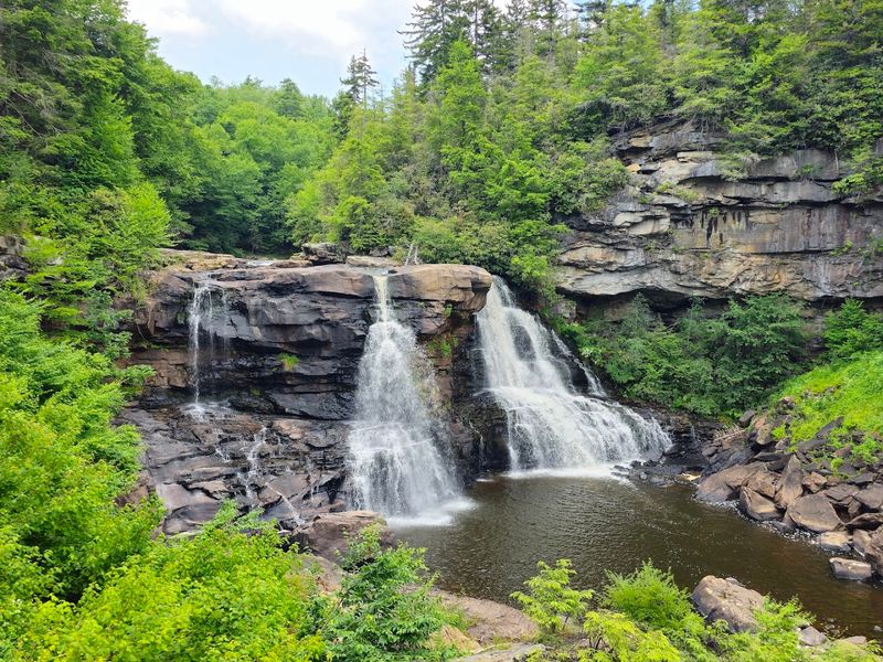 Blackwater Falls Trail Blackwater Falls Trail