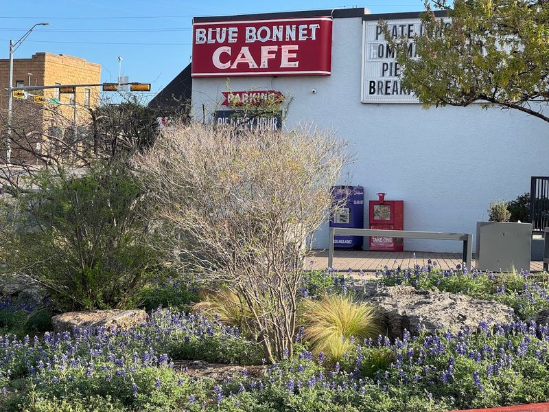 Blue Bonnet Cafe, Marble Falls