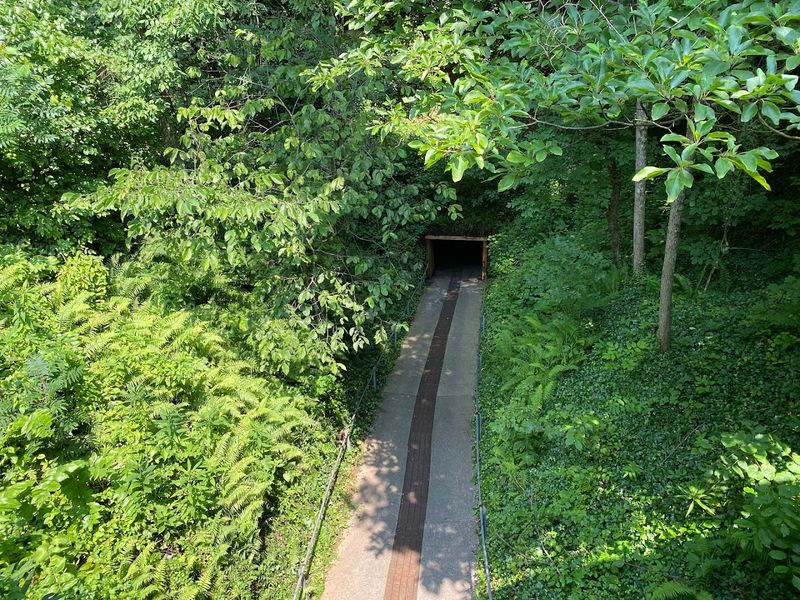 Bluespring Caverns Park, Bedford