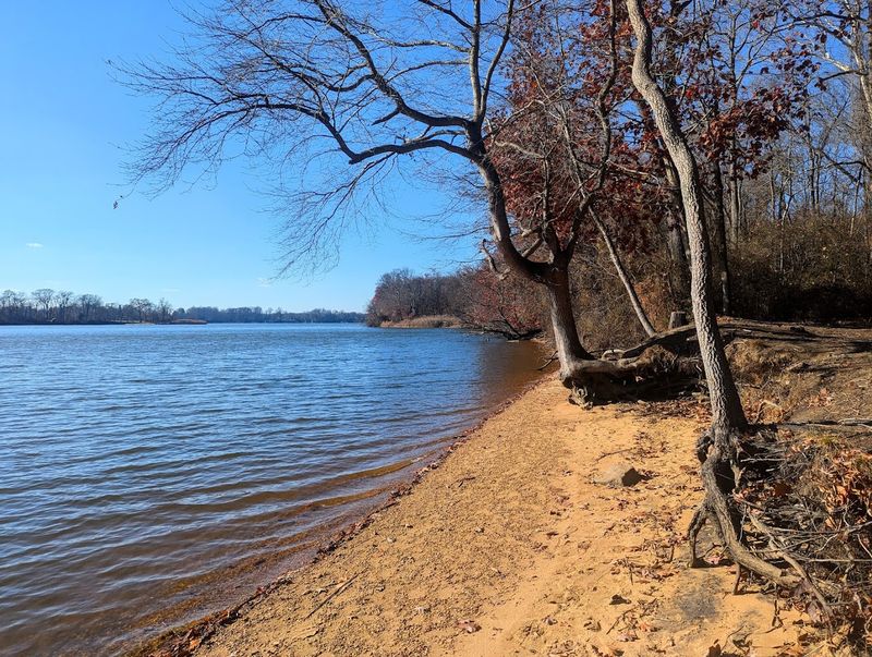 Bohemia River State Park