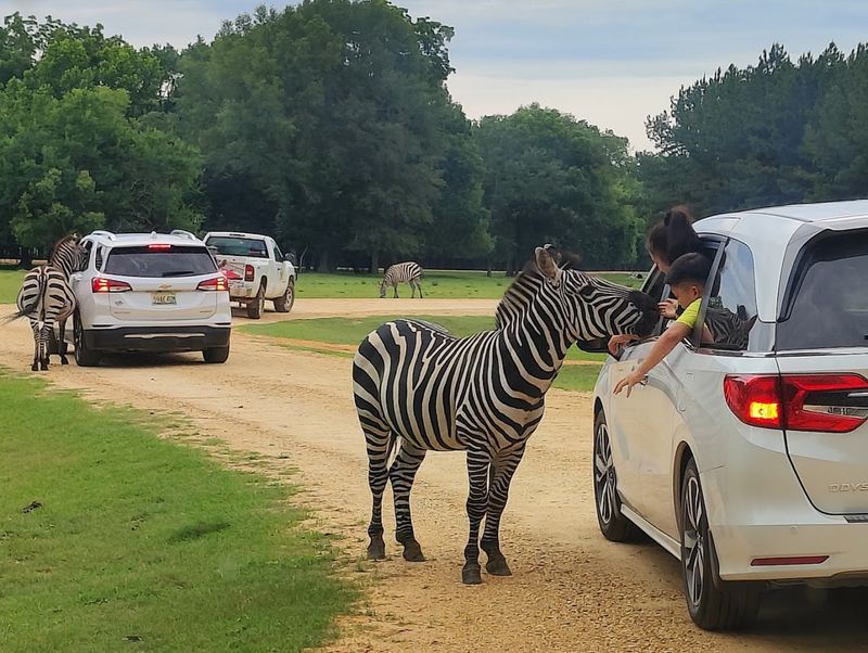 Book an Exclusive Behind-the-Scenes Animal Encounter