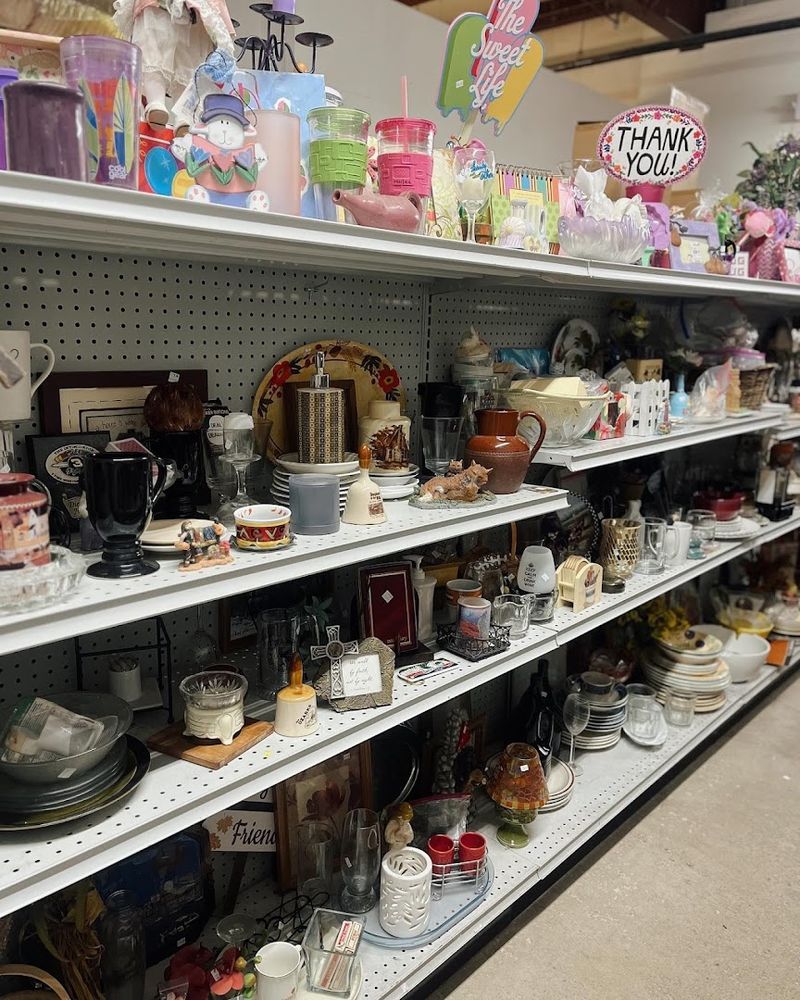 Books, Housewares, and Odds and Ends Fill Every Corner