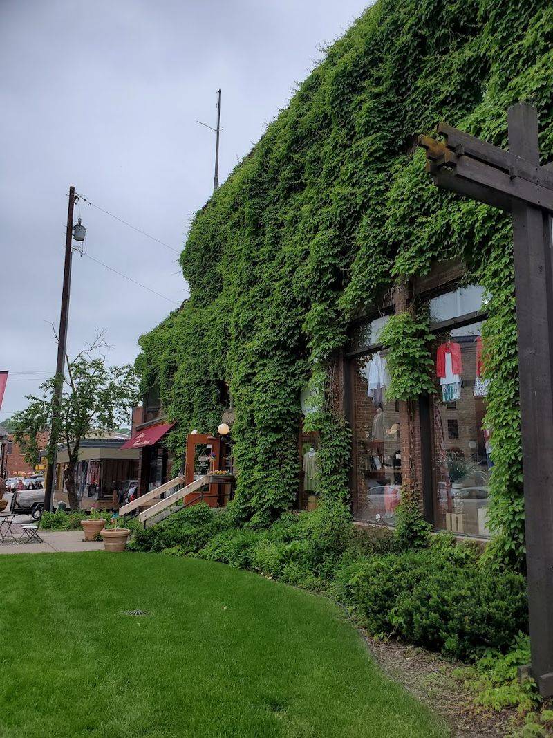 Bookstores That Still Feel Like Stillwater