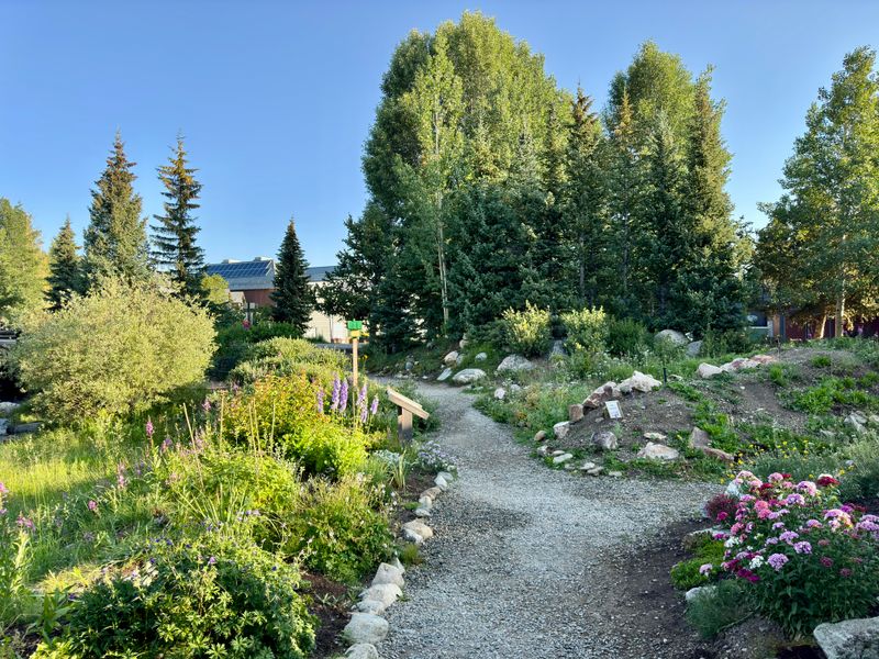 Breckenridge Alpine Garden, Breckenridge