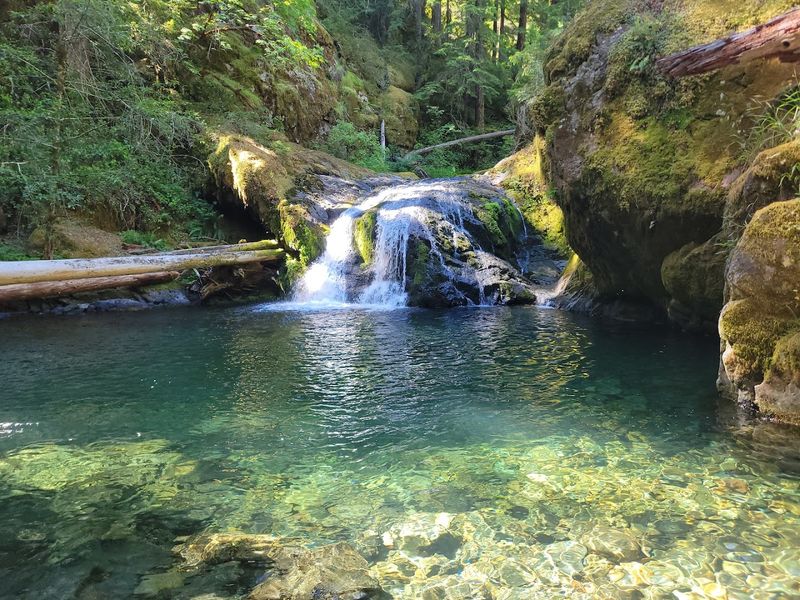 Brice Creek Falls / Blue Hole Falls (near Cottage Grove)