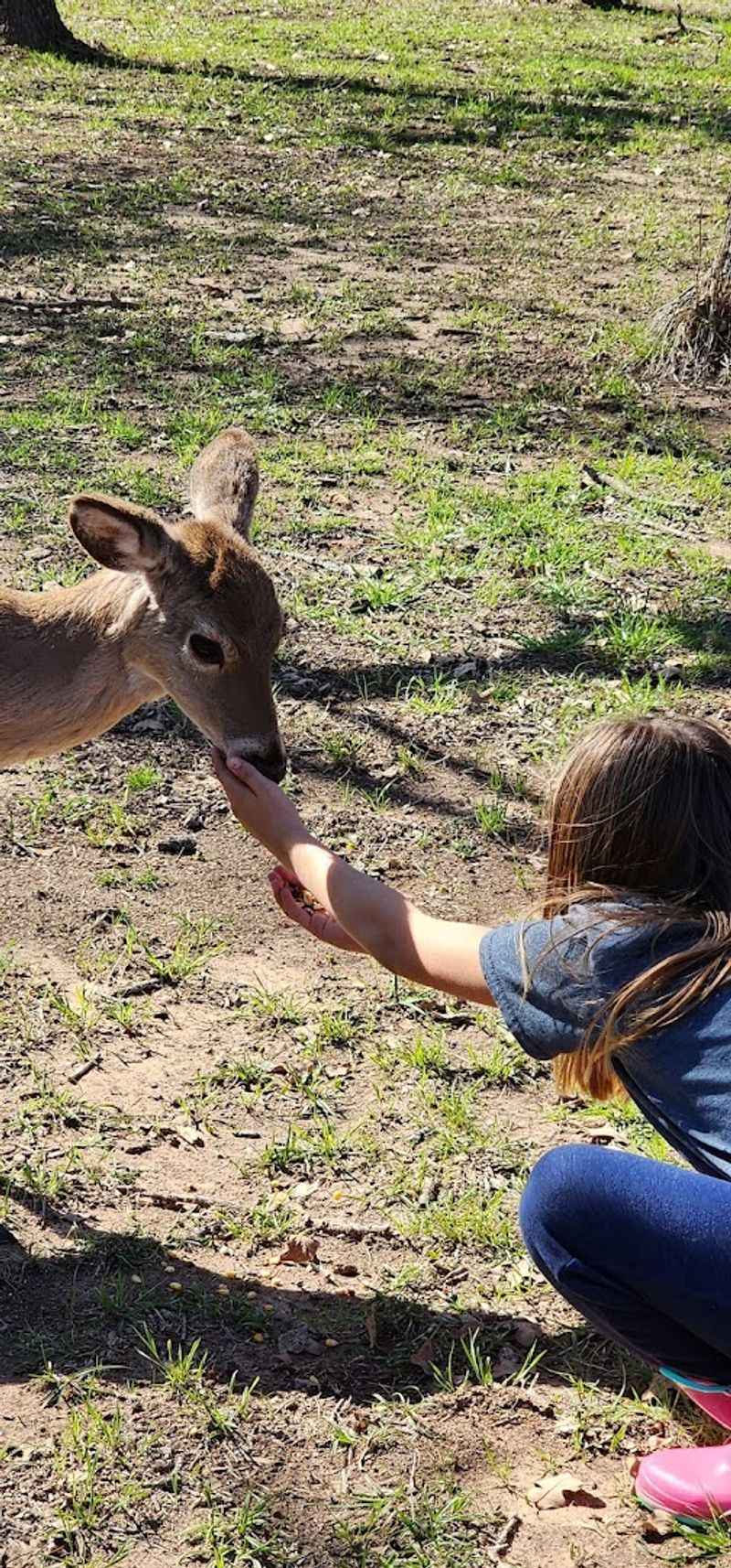Bringing Kids Here Is Always a Good Decision