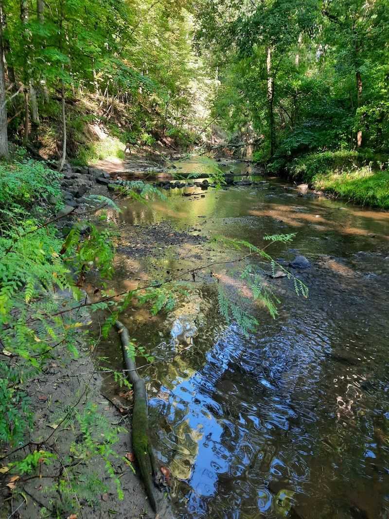 Buck Creek Runs Right Through the Heart of It