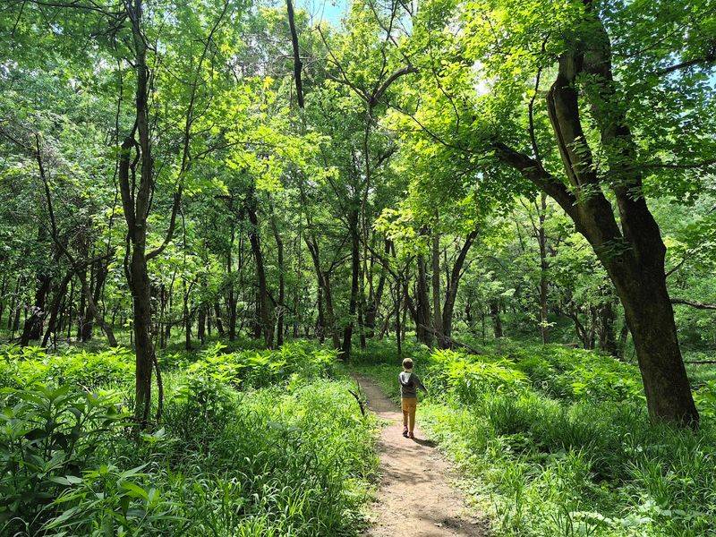 Buttonbush Woods Is Already a Wildlife Sanctuary Worth Exploring
