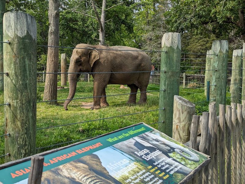 Buttonwood Park Zoo (New Bedford)