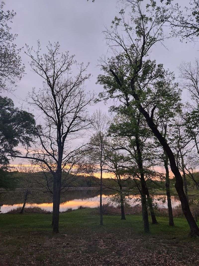 Cabin Life at the Park