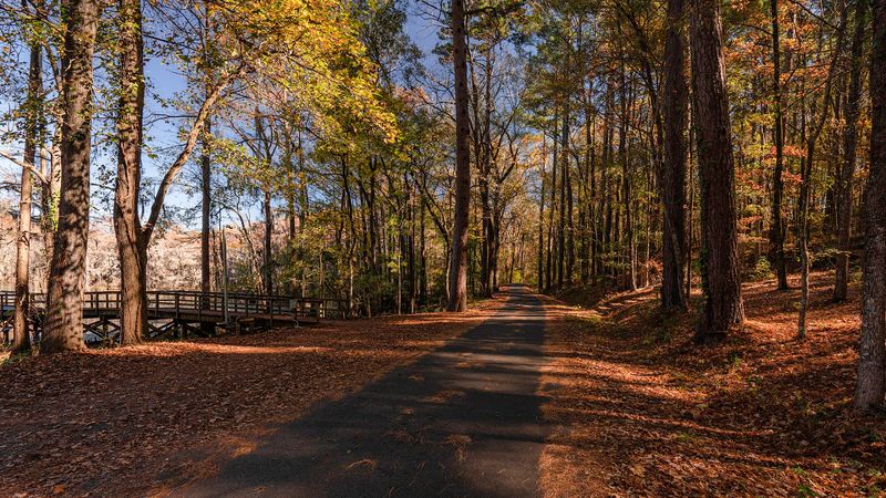 Caddo Lake State Park, Karnack
