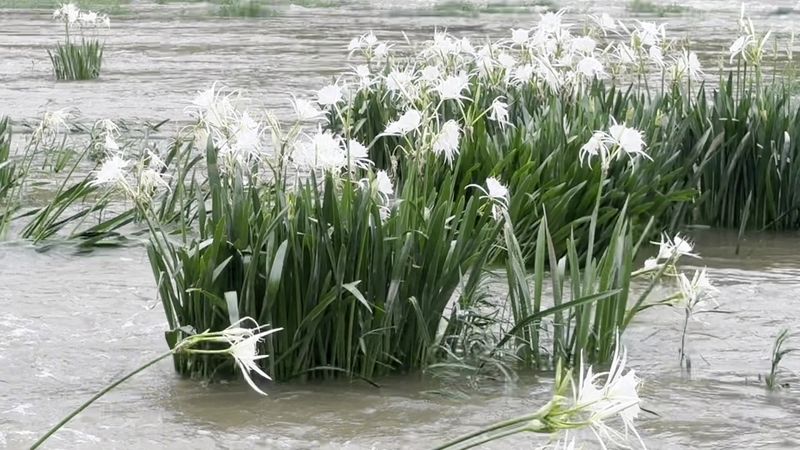 Cahaba River National Wildlife Refuge