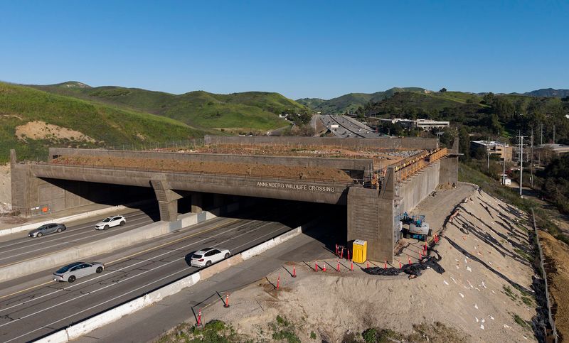 What Exactly Is the Wallis Annenberg Wildlife Crossing?