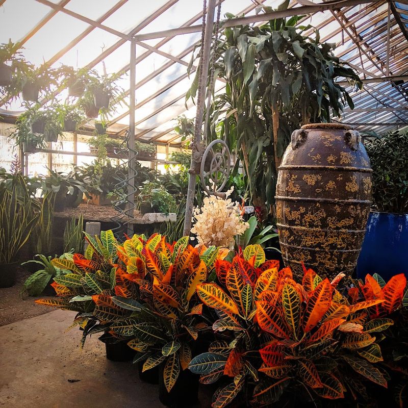 Calvert's Plant Interiors, Oklahoma City