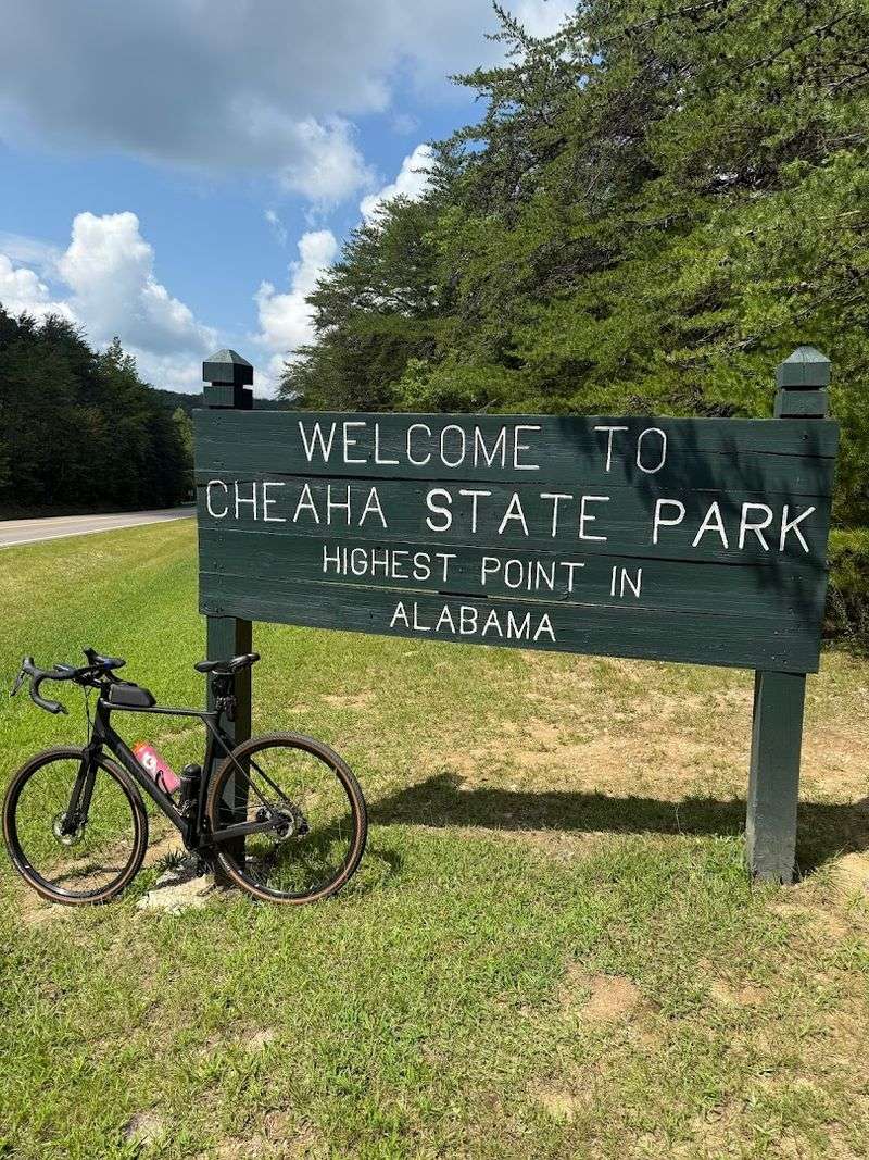 Camping, Chalets, and the Talladega Scenic Drive Experience
