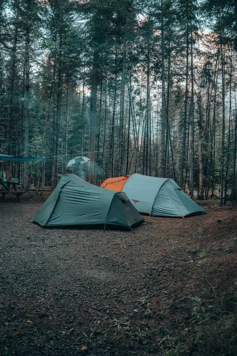 Camping Near Gifford Lake: Lower Lake Campground as a Base