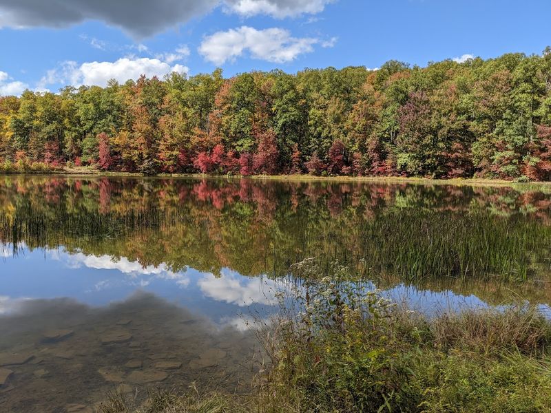 Camping Options from Tent Sites to Stargazing Cabins
