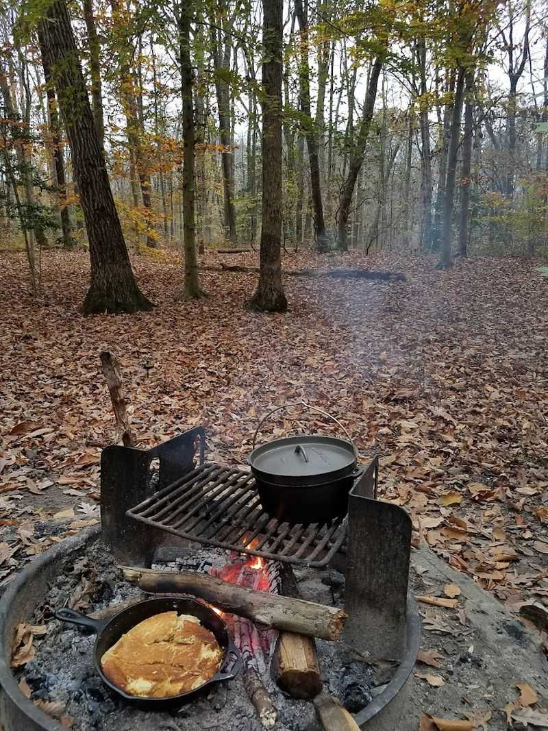 Camping That Keeps You Close To The Woods