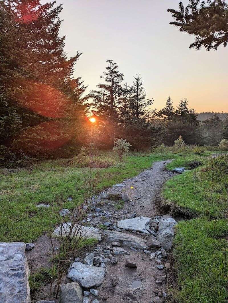 Camping Under the Stars at Hurricane Campground