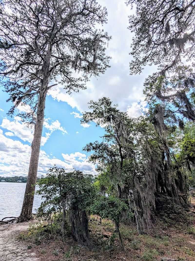 Camping Under the Trees With the Bay Just Steps Away