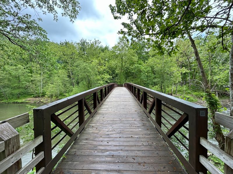 Canyon Rim Boardwalk, West Virginia