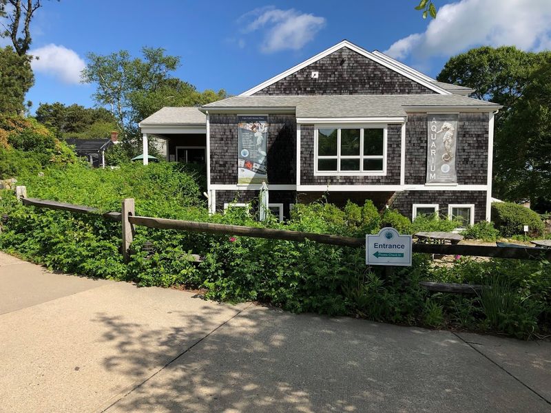 Cape Cod Museum of Natural History (Brewster)