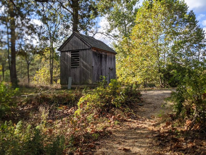 Wharton State Forest
