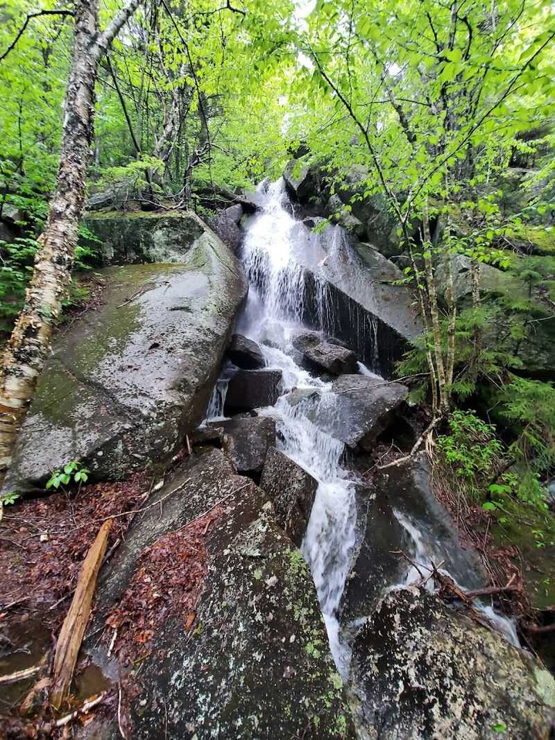 Carbonneau Cave, Mount Anna