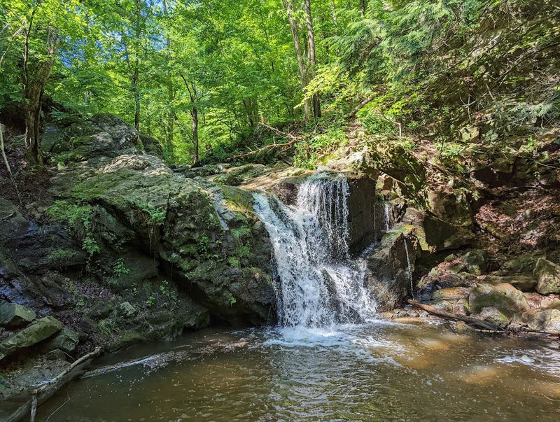 Cascade Falls: The Waterfall Worth Every Step