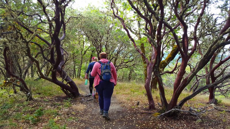 Cathedral Hills Trail System