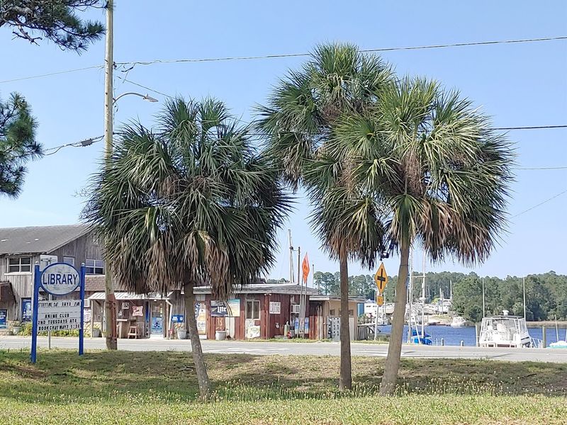 The Forgotten Coast and the Villages That Kept the Flavor Alive