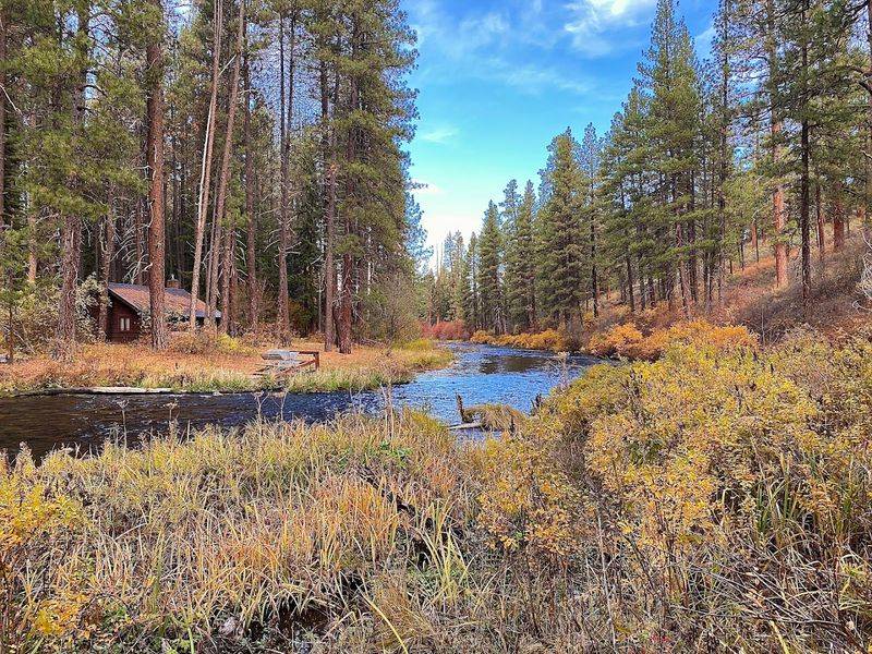 Charming Cabins And The Camp Sherman Community