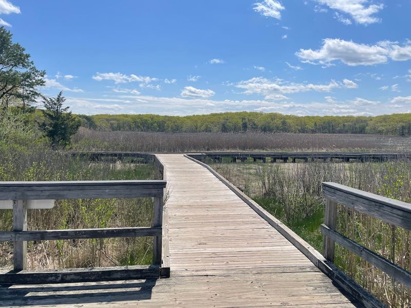 Cheesequake State Park