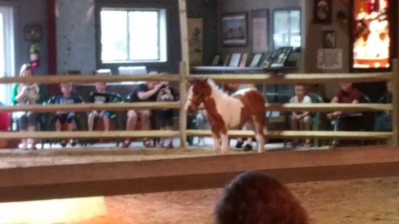 Chincoteague Island, Wild Pony Country