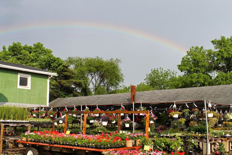 Cinnaminson's Business Spotlight
