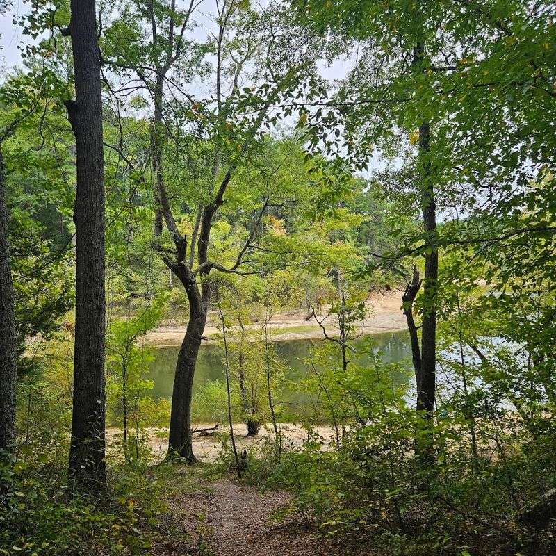 Clarksville, The Little Town With Big Lake Energy