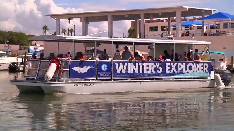 Clearwater Marine Aquarium