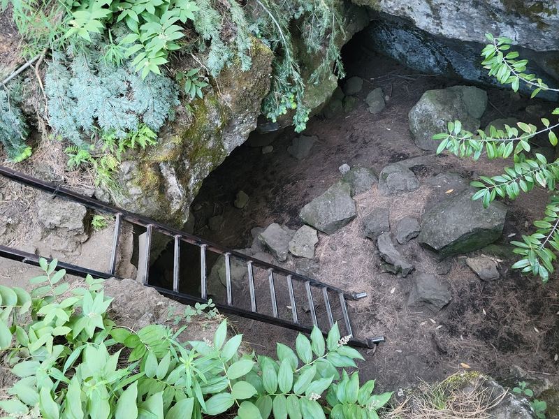 Climbing Down the Ladder Into the Dark