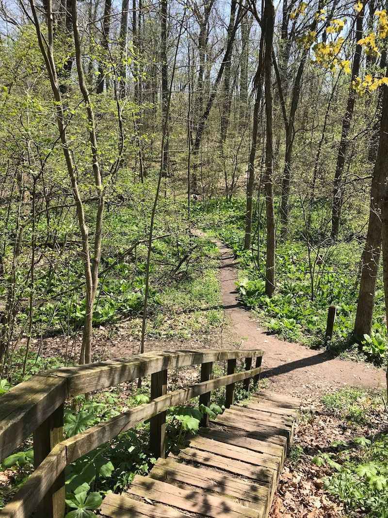 Saint Patrick's County Park Loop, 50651 Laurel Rd, South Bend, IN 46637