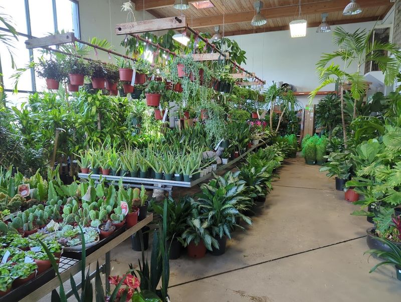 Cohlmia's The Plant Place, Tulsa