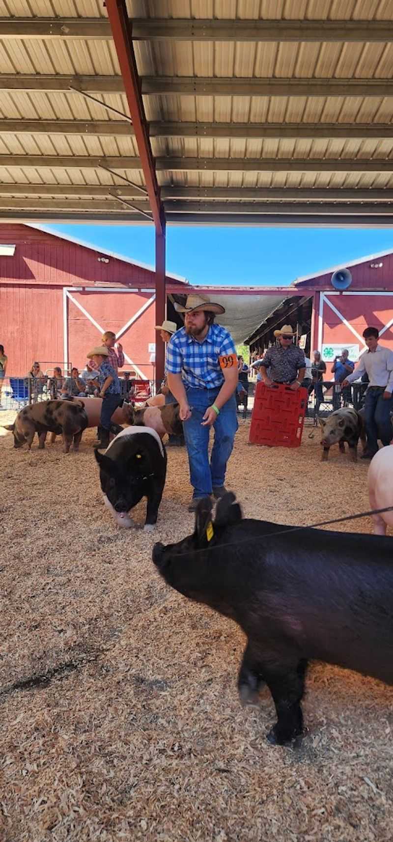 Competitions and Auctions Full of Local Pride